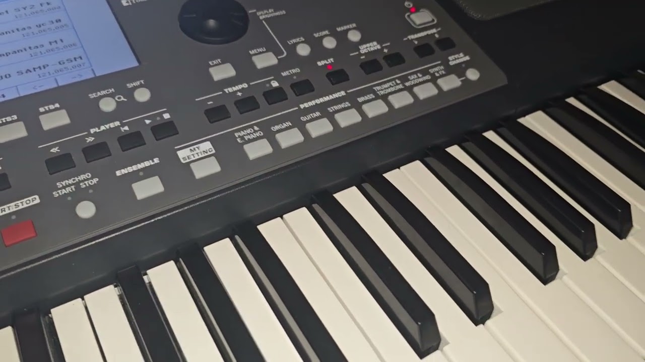 Samples y ritmos de wewa para Korg pa300,600,700 y pa1000 y Yamaha psrs y psrx