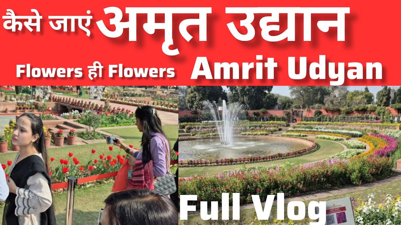 Exploring Amrit Udyan #amritudyan #rashtrapatibhawan #delhi #exploring #flowergarden #flowers 