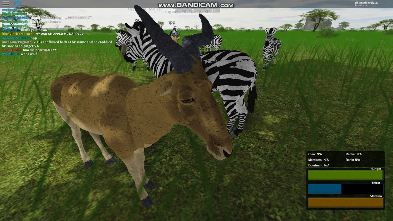 The New Animal on the Block | Testing (A) Update