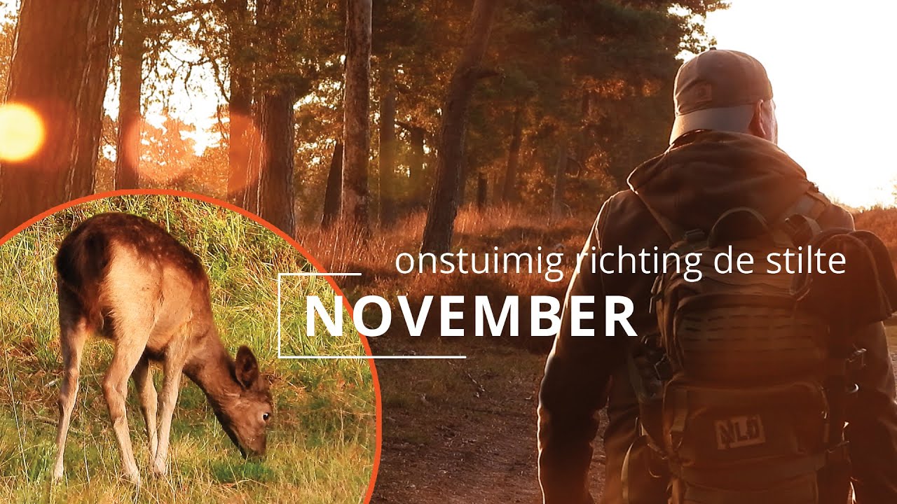 #123 - NOVEMBER - onstuimig richting de stilte