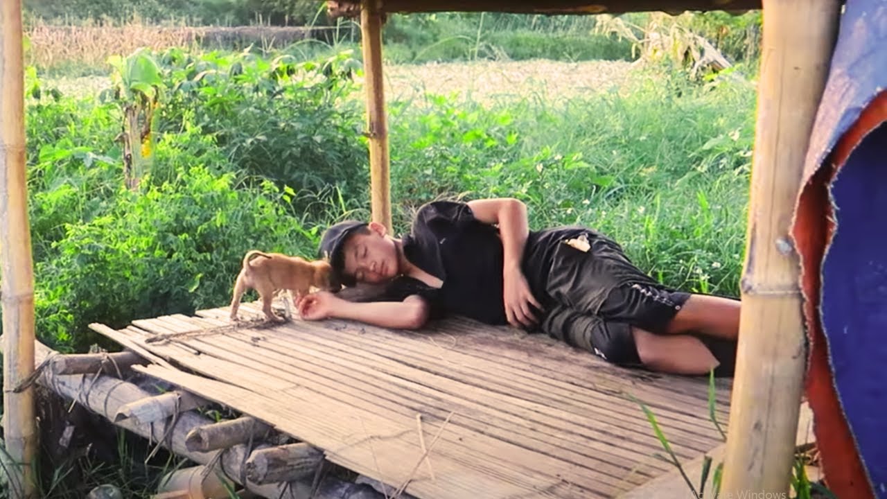 The Shocking 7-Day Challenge of Kaka and the Homeless Boy