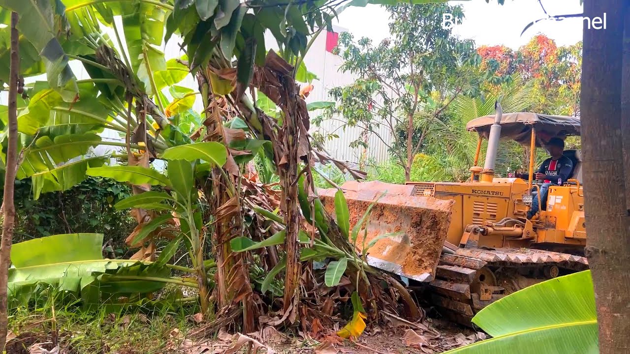 New Project Operator Skills Clearing The Forest To Landfill By Dozer D31P Pushing 5T Truck