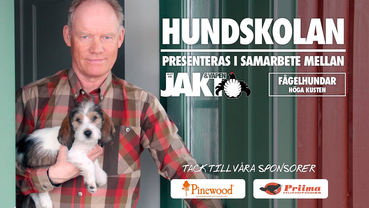 Hundskolan: När gäster kommer på besök - Del 1/4