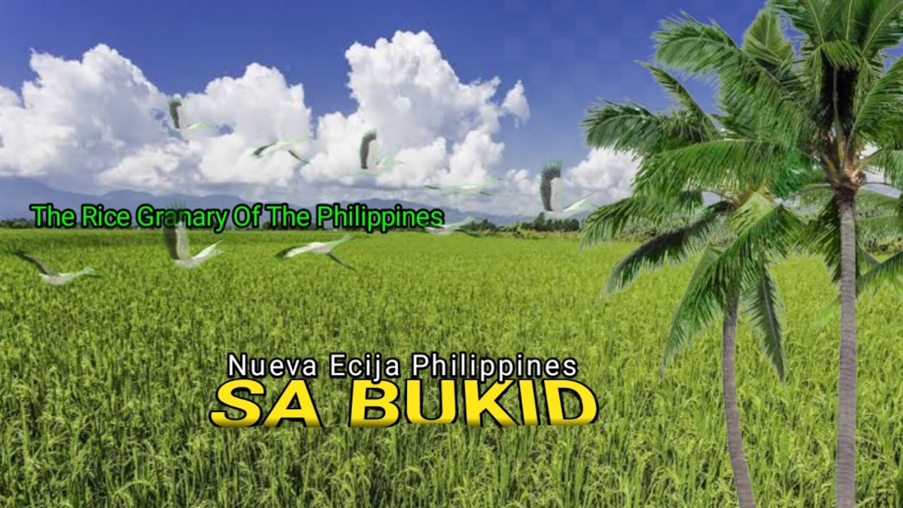 Nueva Ecija | Sa Bukid | Halina't Mamasyal | #somewhereinnuevaecija #nuevaecija