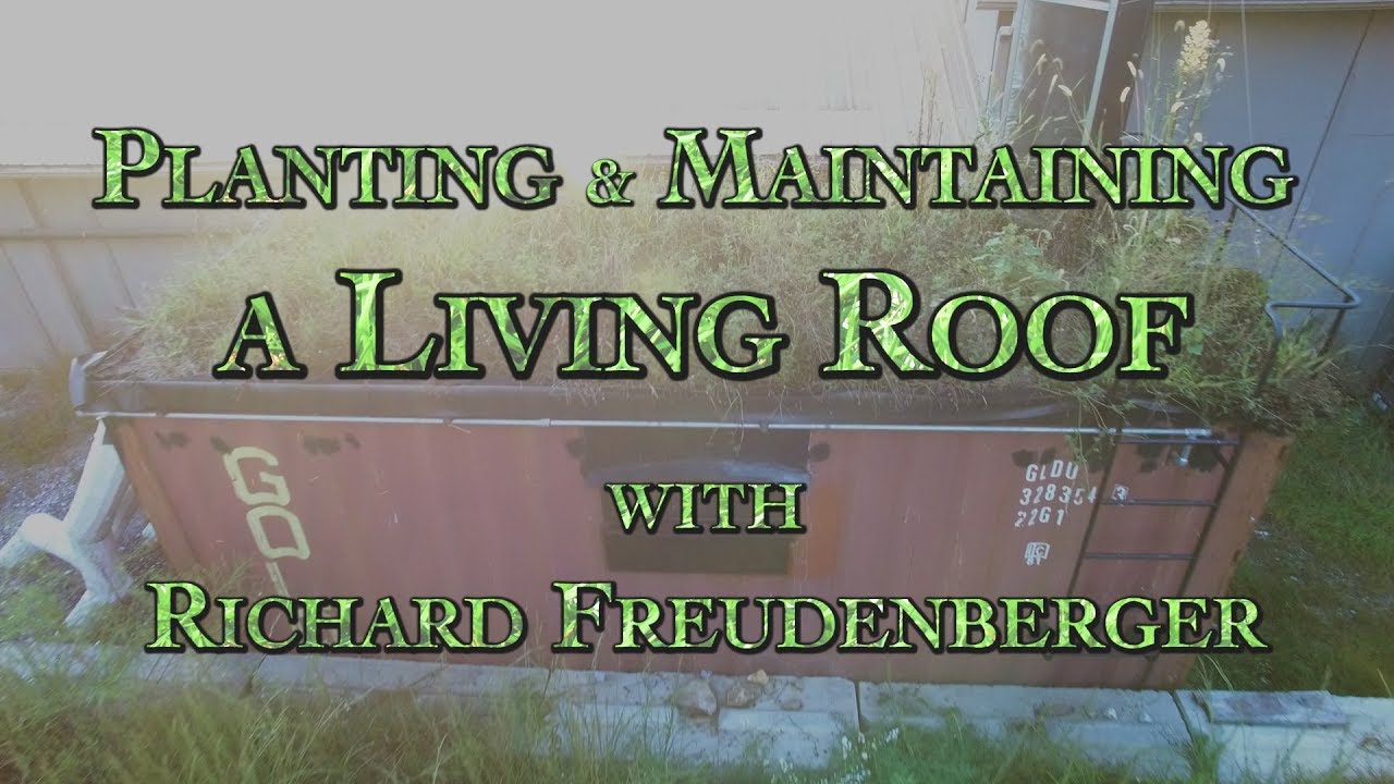 Planting & Maintaining a Living Roof