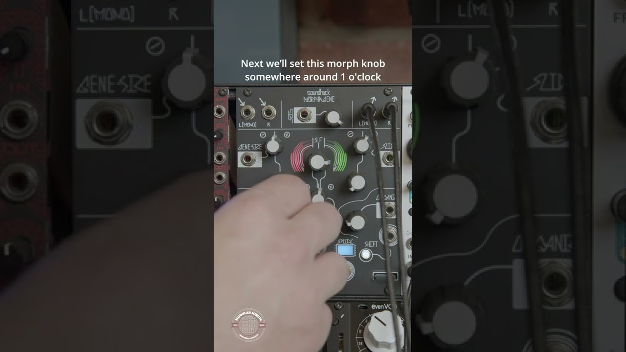 The Modular Minute 120: Spooky Sound Design with Morphagene