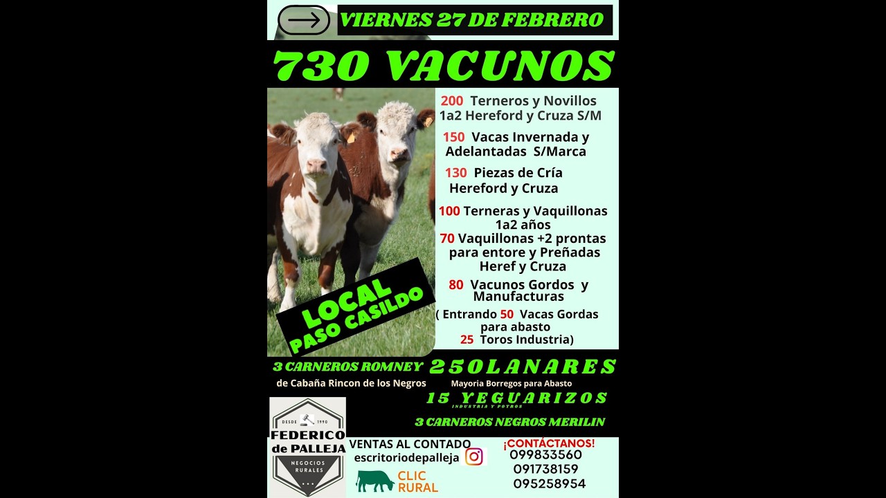 27/02/2026  Feria Mensual - Federico de Palleja  | Clic Rural