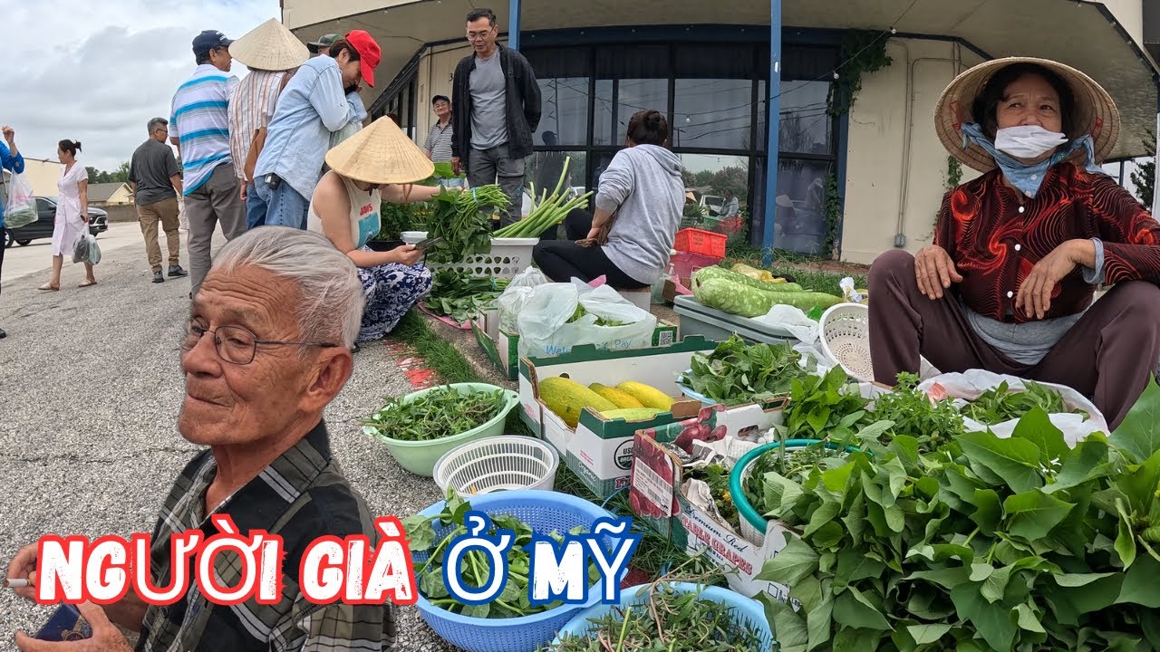 Cụ Ông 76 Tuổi Hằng Tuần Lái Xe Ra Chợ Chồm Hổm Bán Cây