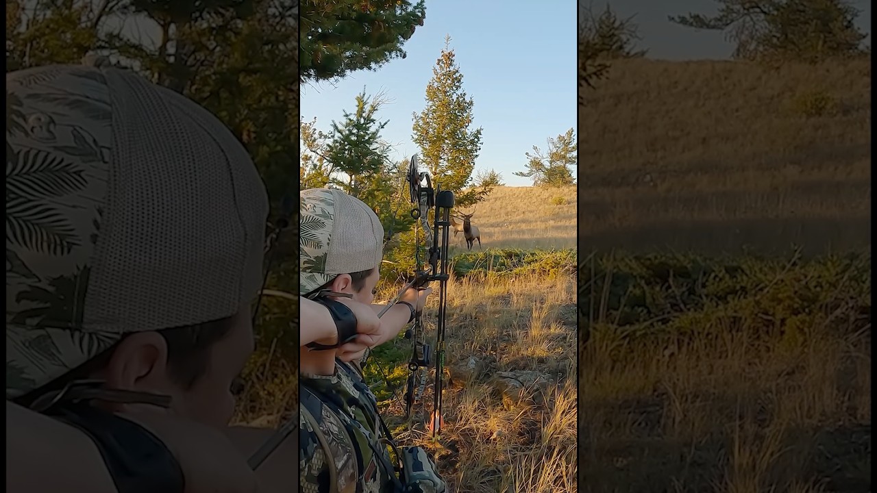 Epic Bull Elk Hunt | Bow & Arrow Adventure