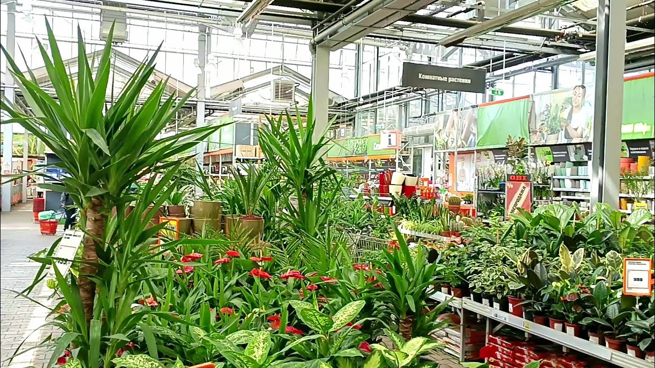 🌿Оби🍃Цветочная Красота❤🍃