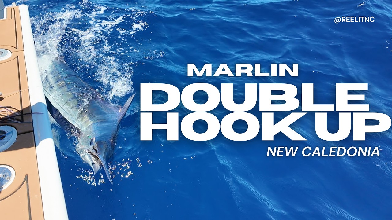 You won't believe this! DOUBLE MARLIN Hook Up in New Caledonia!