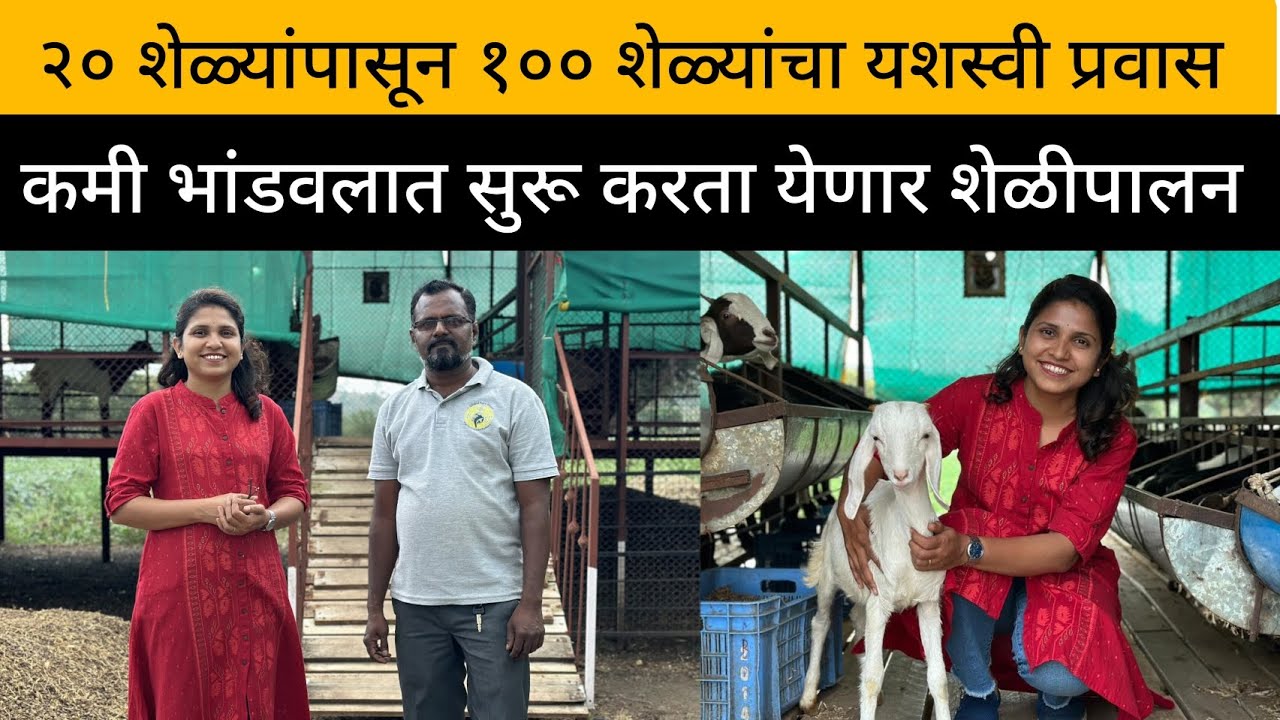 २० शेळ्यांपासून सुरुवात | १०० शेळ्या संपूर्ण नियोजन | कमी भांडवलात शेळीपालन | Goat Farming #goatfarm