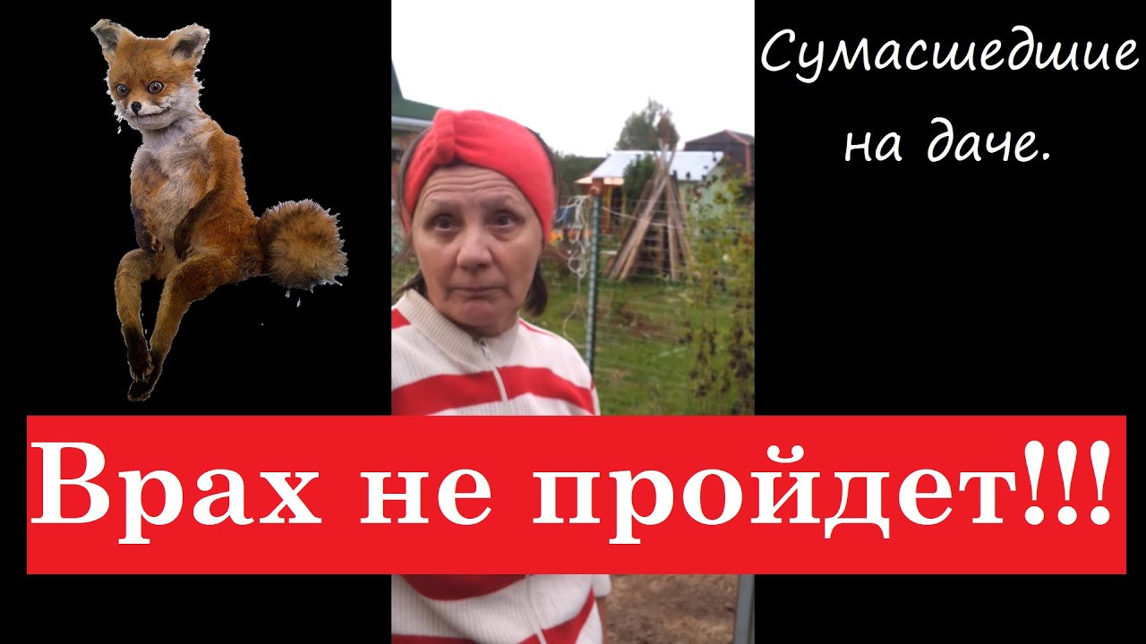 Неадекватная соседка не дает открыть ворота и проехать машине.