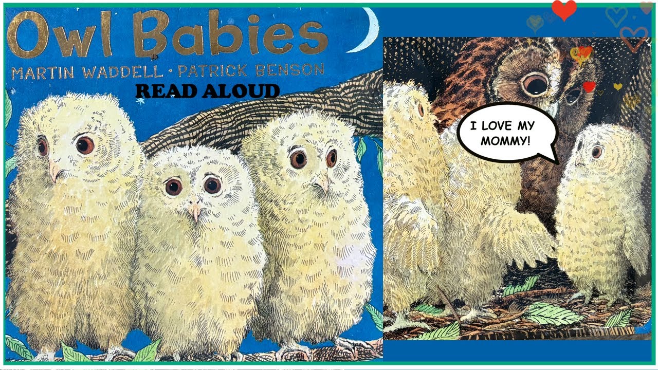📖Owl Babies 🦉Kids Book Read Aloud- Family Story Time