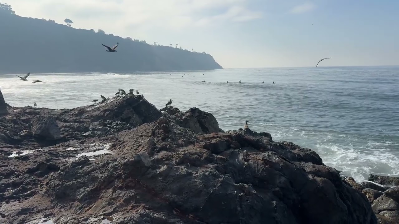 Ocean Cliff Ambience Waves Crashing, Coastal views & Natural ocean sounds 