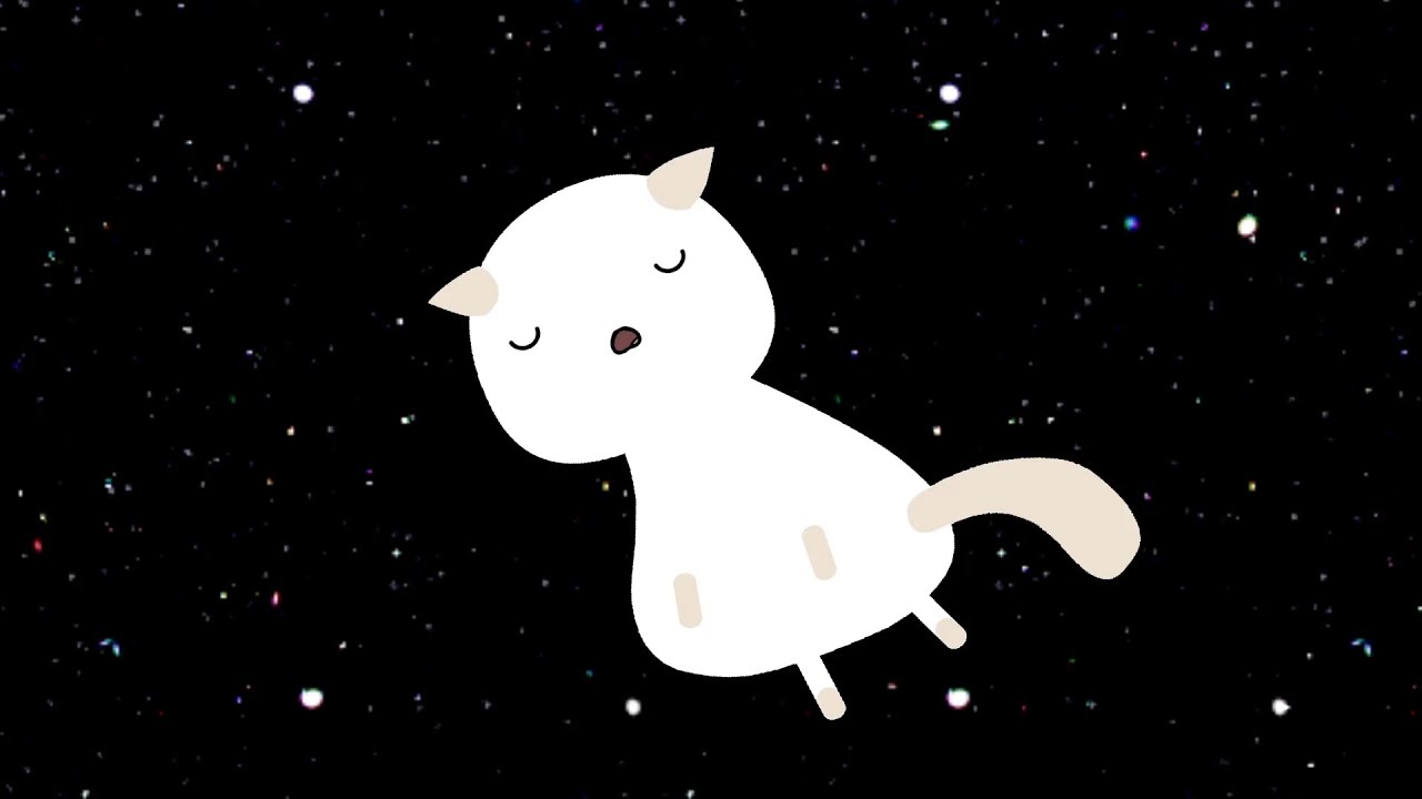 CatGhost 13 Acceptance