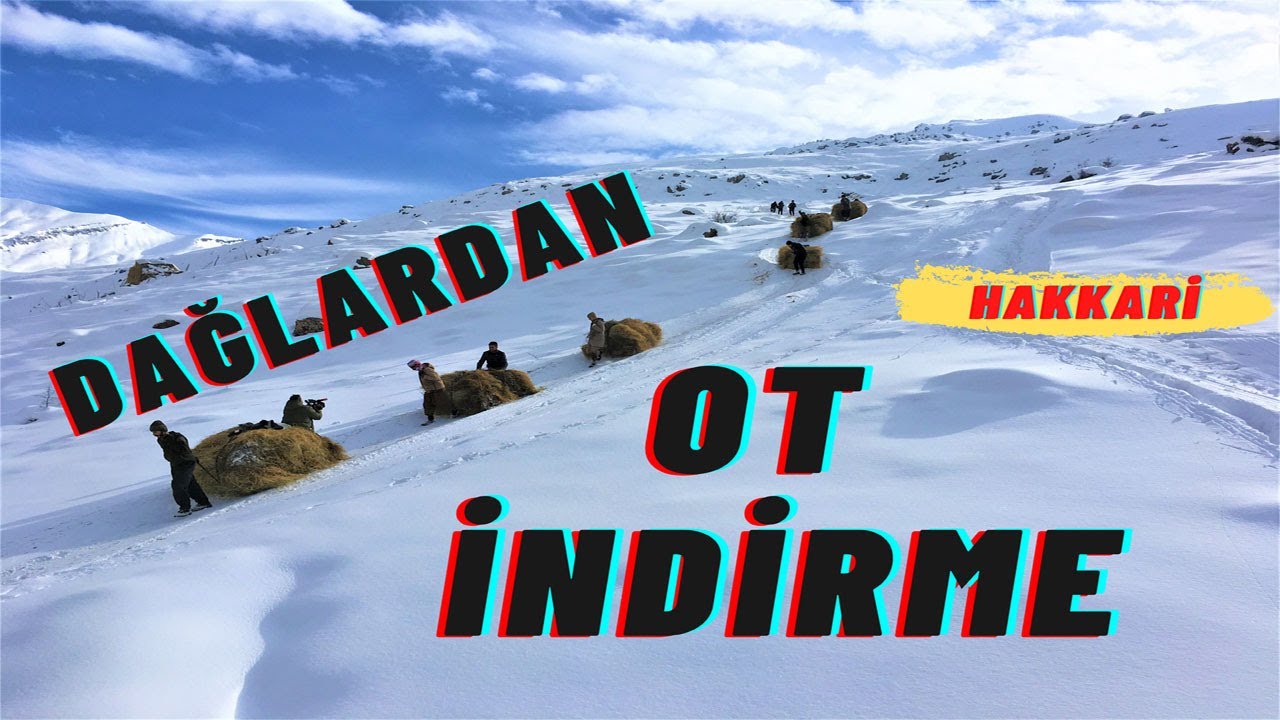 Ağaçdibi Köyü Dağdan Ot İndirme