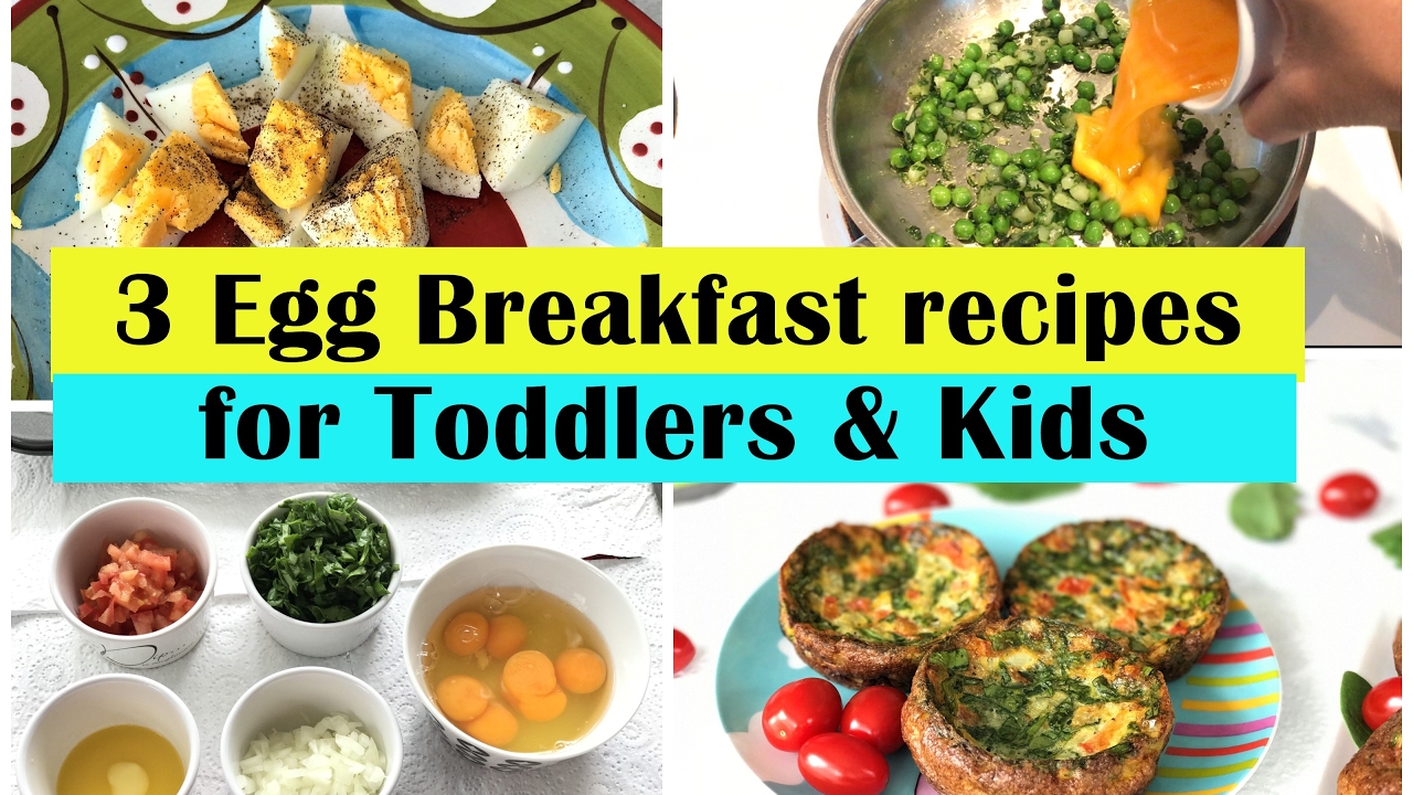 3 Easy Egg Breakfast ideas ( for Toddlers & Kids ) | Egg breakfasts for toddlers & kids |