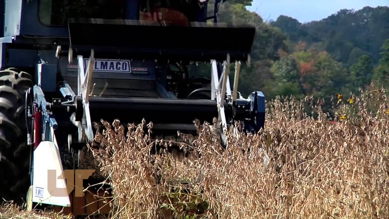 Soybean Research