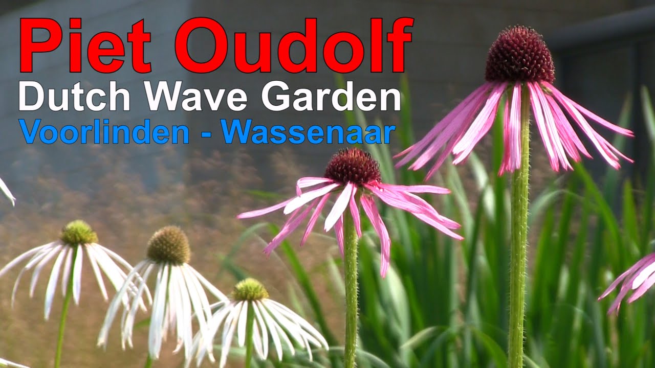 Piet Oudolf Dutch Wave Garden Voorlinden Wassenaar 2023-07