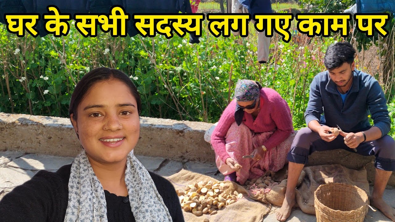 फाइनली बड़े खेत में आलू लगा दिए।। Pahadi Lifestyle Vlog Kedarghati | Kareenavlogs11 Organic farming 