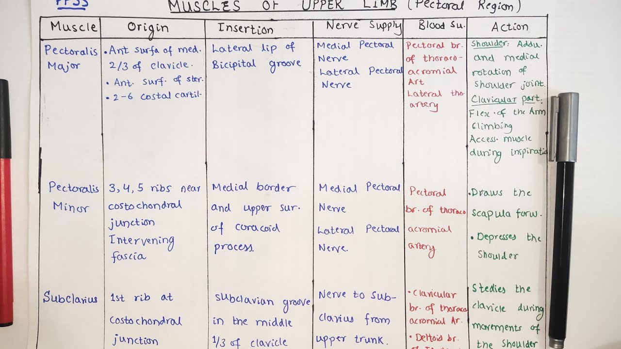Muscles Pectoral Region | Muscles of Upper Limb Part-1 | Dr. Ali |Doctor Z