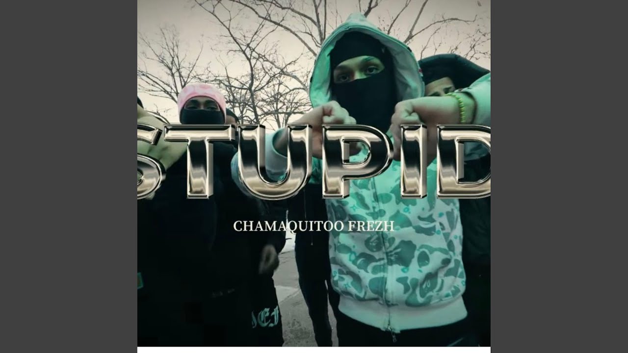 ESTUPIDO(RIP LAJA)