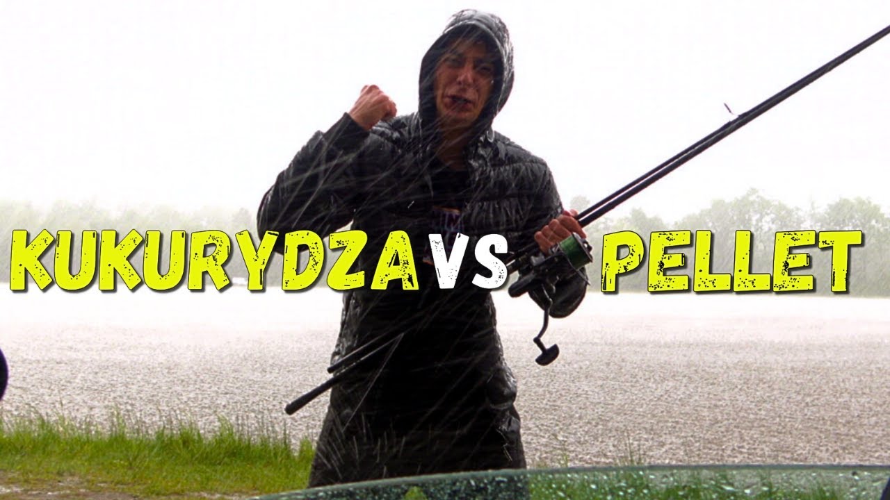 Kukurydza VS Pellet Ostateczne starcie