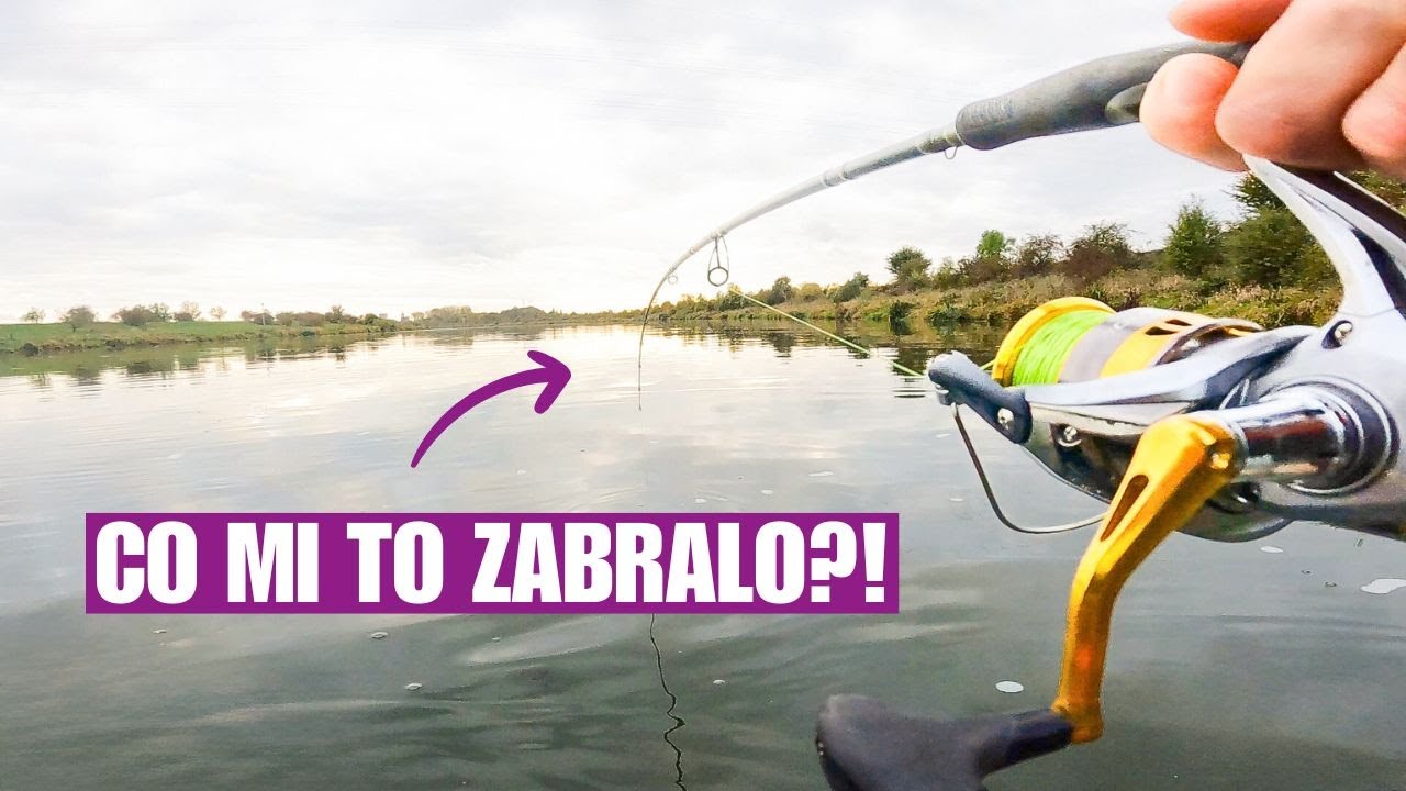 🎣Neuveríš, Čo Mi Zabralo! Lov Sumca na Prívlač Ako z Iného Sveta!