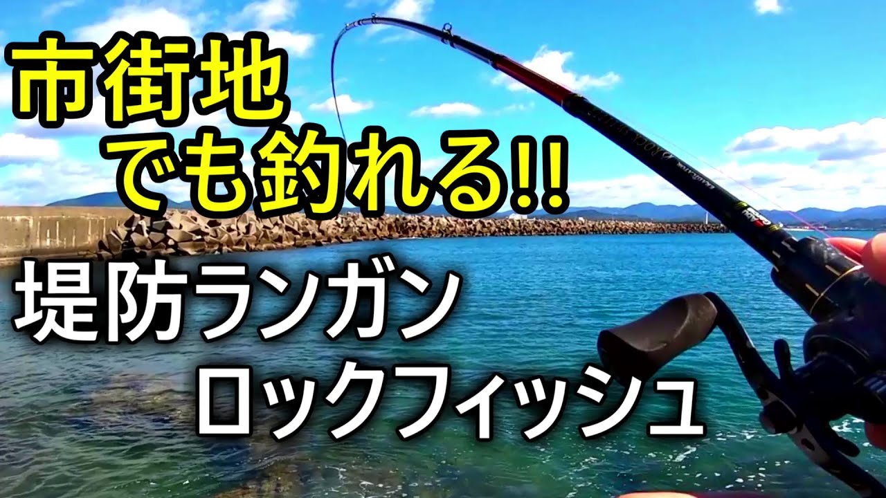 市街地の堤防でもロックフィッシュ出来る南紀