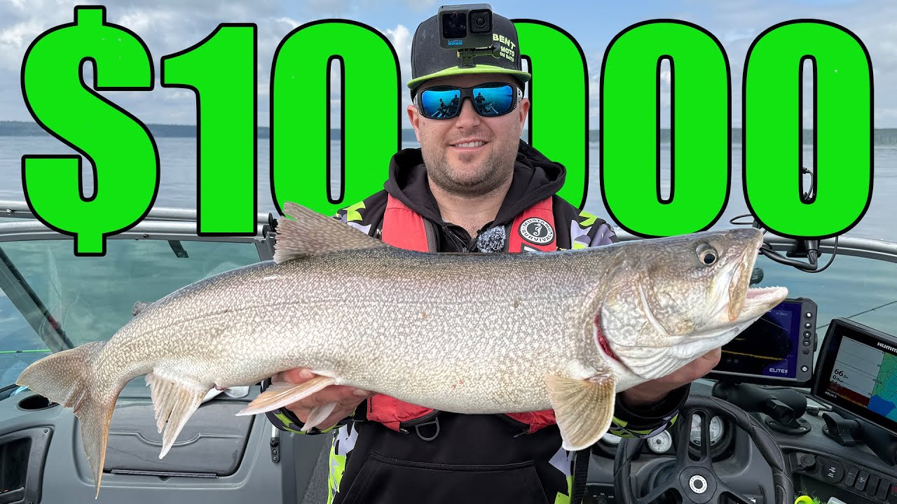 $10,000 Lake Trout Showdown - Cold Lake Fishing Derby 2025