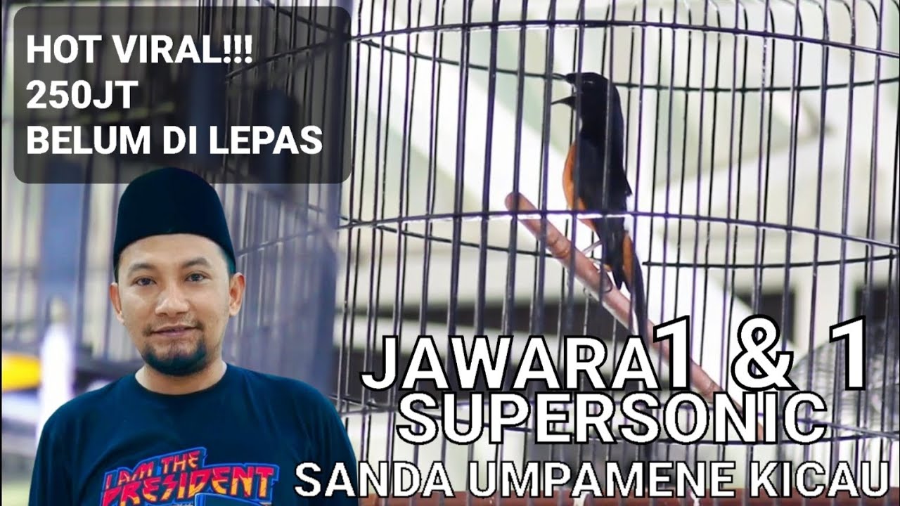 MAN OF THE MATCH KOPDAR SMM SUPERSONIC - SANDA UMPAMANE KICAU #muraibatu #SMM