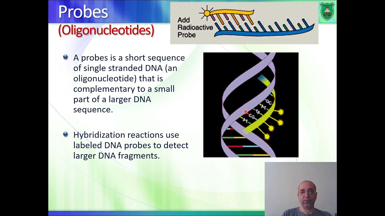 BioM02 Molecular Biology 2020 2021 Basic applications 2 Arabic