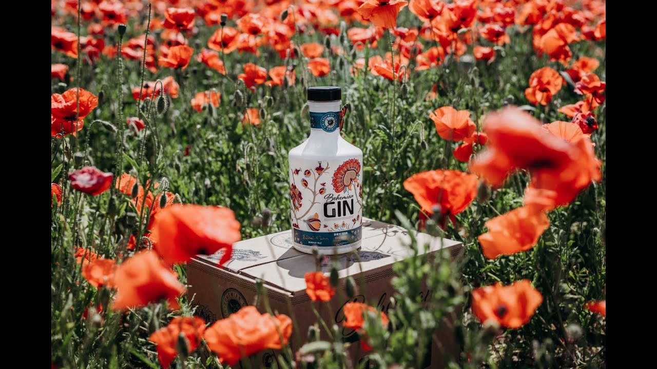 Bohemian gin a Martin Žufánek