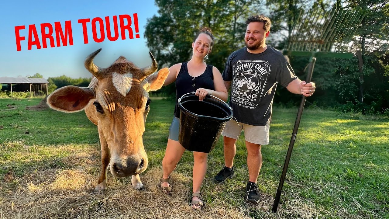 Daily Bumps Homestead Farm Tour 2024! 🐄  (All Our Animals)