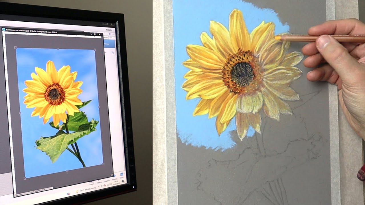 Pastel painting: How to paint a sunflower with pastels | Tutorial with real time footage. Part 1