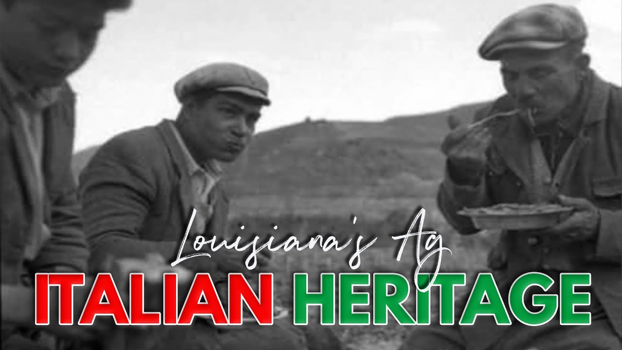 Louisiana Agriculture's Italian Heritage