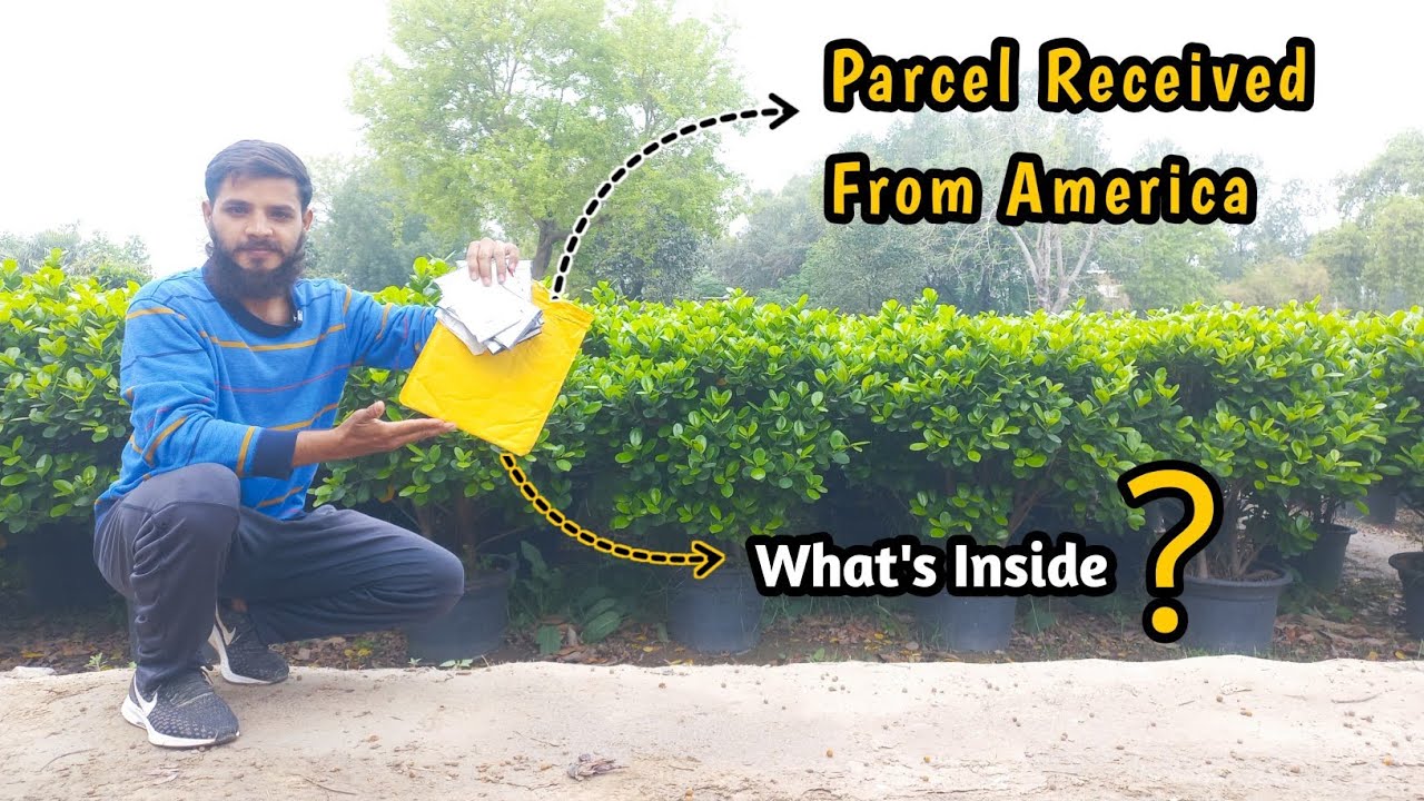 Unboxing Rare Heirloom Seeds in Pakistan | Unique Varieties Revealed | Rare Garden