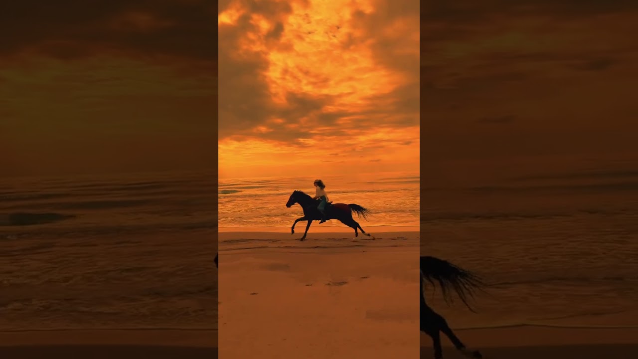 🐎 Join us on a thrilling equestrian adventure as we explore the world of horse riding.