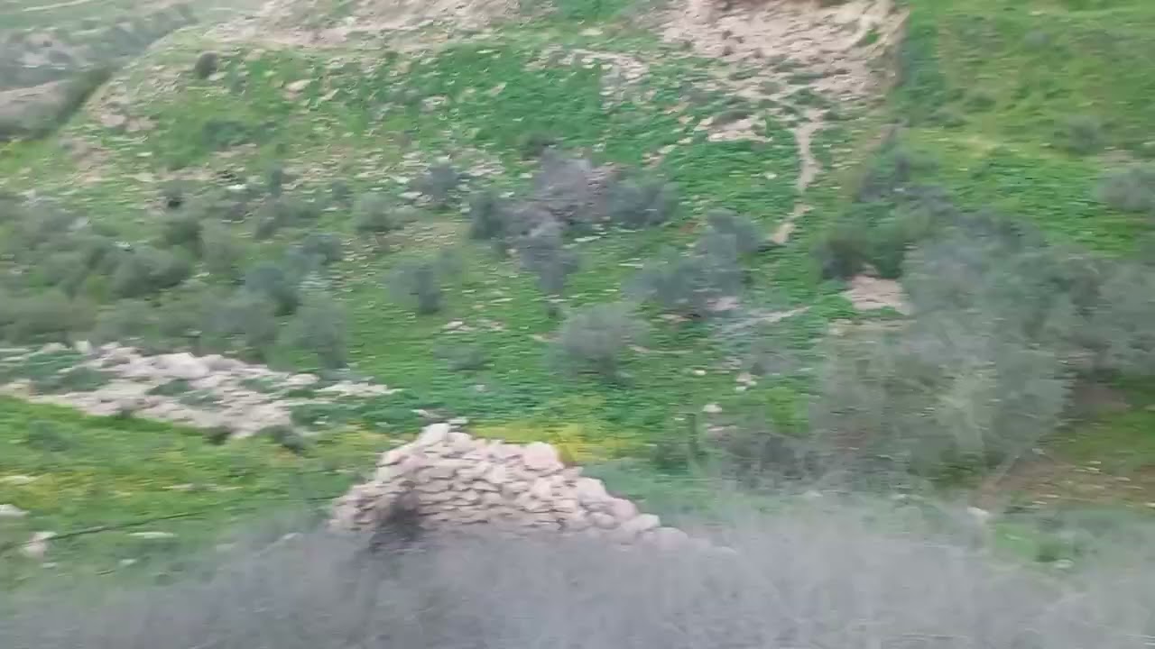 الربيع الاردني