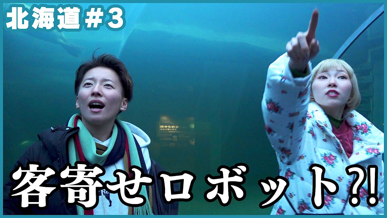 円山動物園の真実...⁈ 信じるか信じないかはあなた次第です。