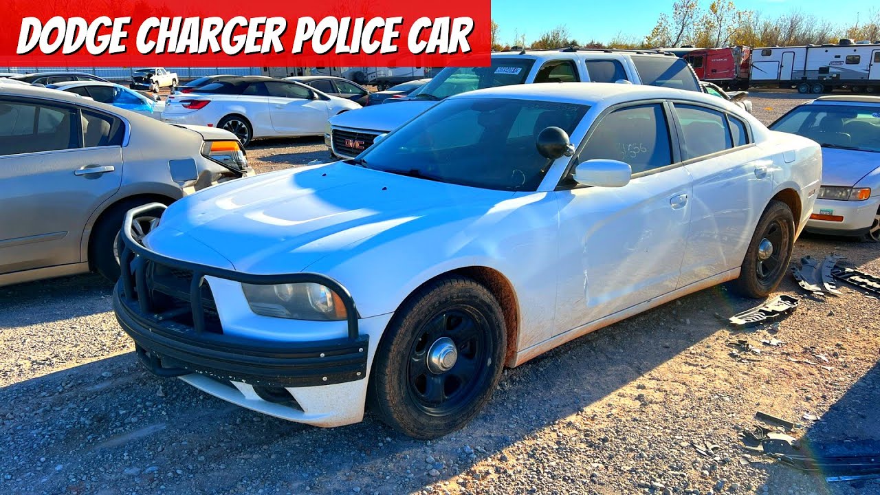 Copart Walk Around and Live Bidding - Police Cars!! 11-23-21 PM