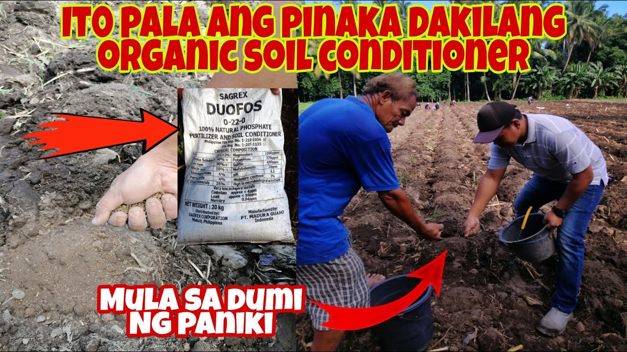 Alamin PinakaMalakas na Organic Soil Conditioner | Land Preparation & Basal Fertilizer