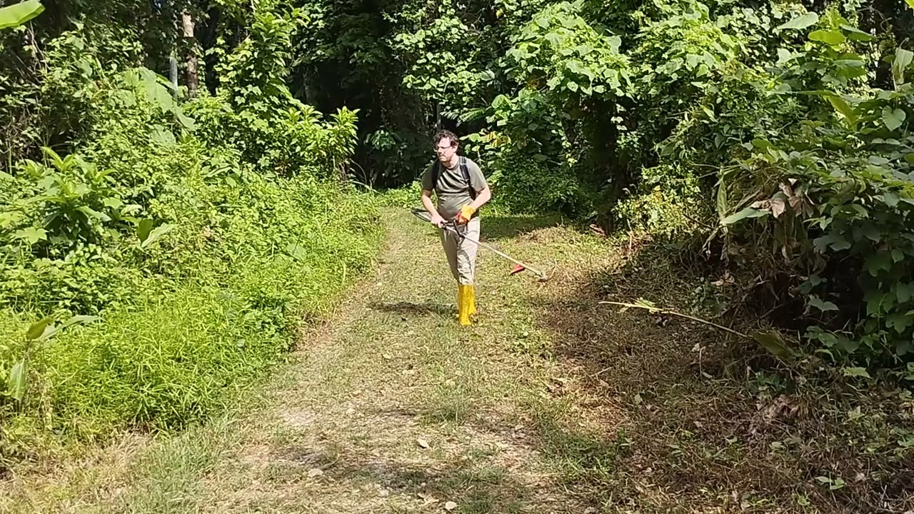 Jungle landscaping brush cutter 