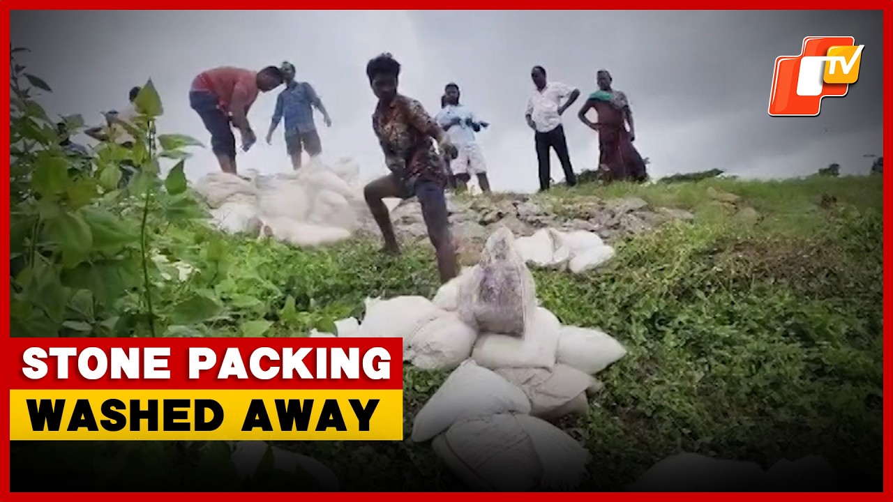 Devi River Erosion Threatens Embankment In Cuttack As Stone Packing Damaged