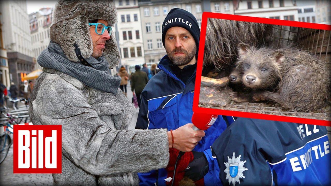 Pelze sch&auml;dlich: Fellpolizei warnt und gibt Tipps!