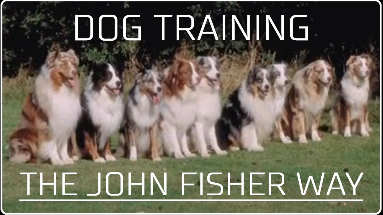 Dog Training - The John Fisher Way