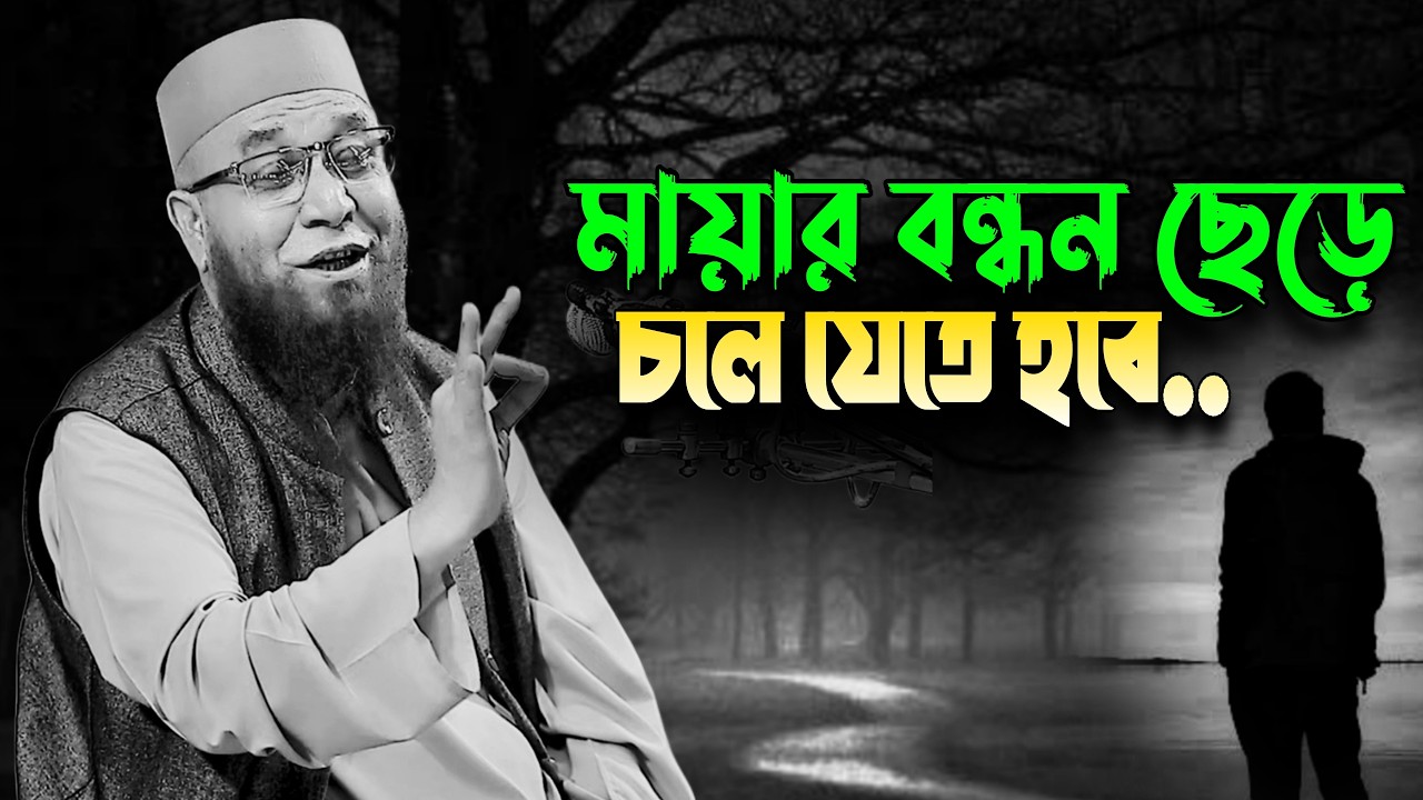 বাংলার তারিক জামিল | Mufti Nazrul Islam Kasemi | Nazrul Islam Kasemi Best Waz | কাসেমী হুজুরের ওয়াজ