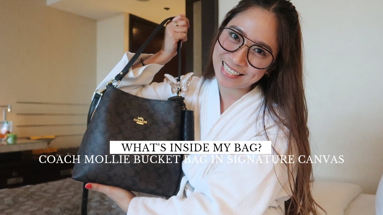 MY ESSENTIALS: What's In My Bag? (COACH Bag Challenge) | Adi Nator