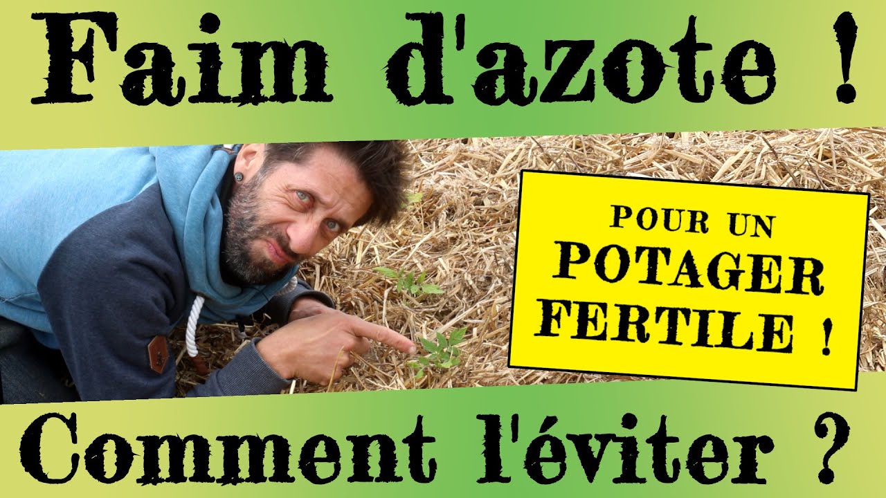 Fertilité au potager ! En finir avec la faim d'azote ?